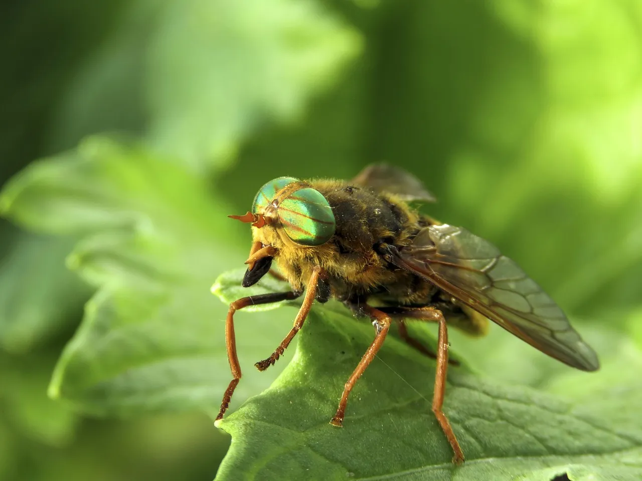 Ételallergia vizsgálat – Hogyan ismerhetjük fel az allergiát?